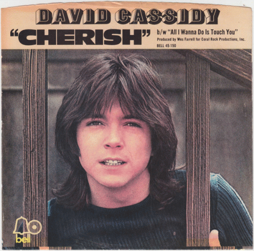 David Cassidy : Cherish - All I Wanna Do Is Touch You